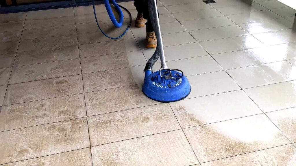 Professional Carpet Cleaning Service in Toledo, Ohio | Sparkling Clean ...